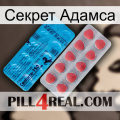 Секрет Адамса new14